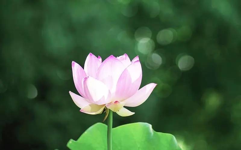 解读：牌阵与深度解析指南开元ky棋牌塔罗牌财运